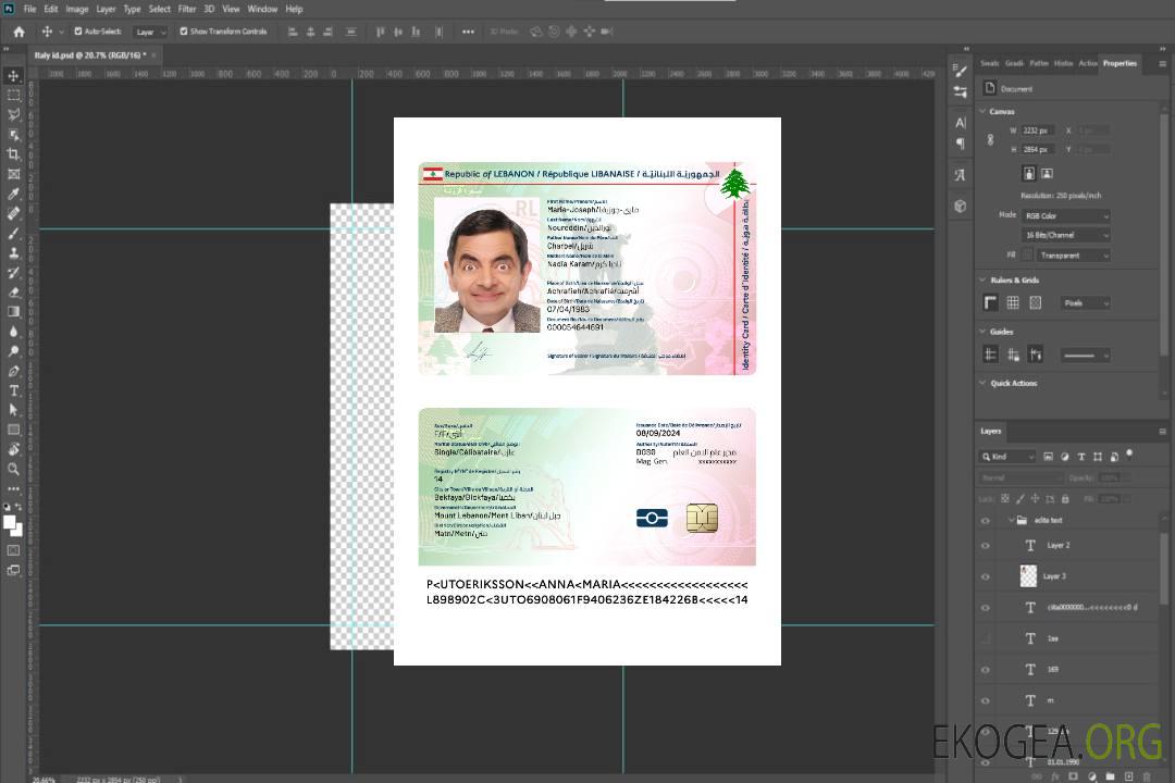 Carte d'identité du Liban 2024-présent template Carte d'identité du Liban 2024-présent template